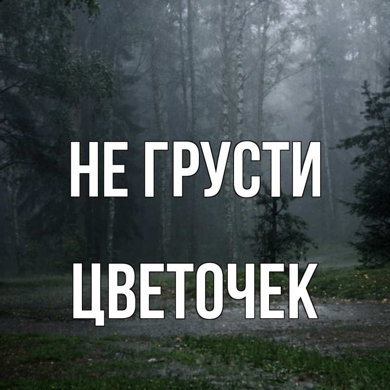 Картинка Не грусти, Цветочек