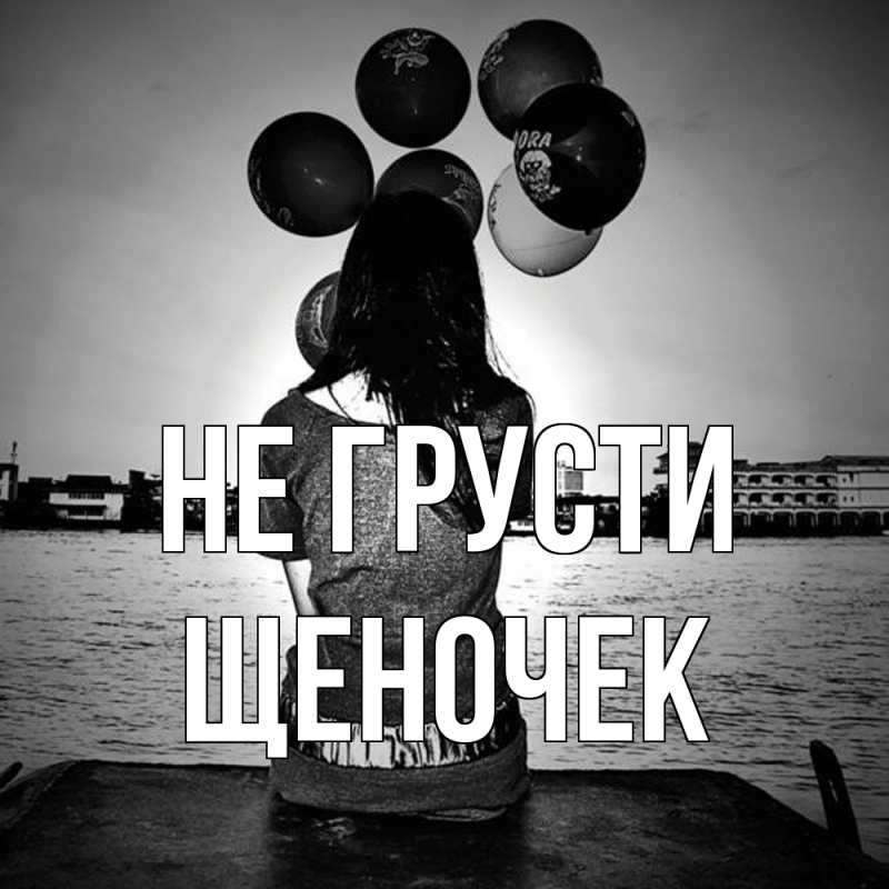 Картинка Не грусти, Щеночек