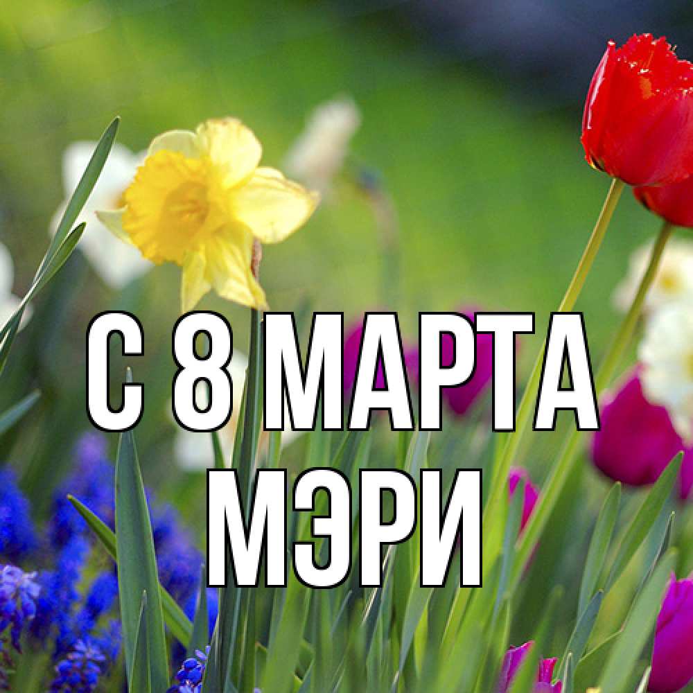 Открытка на каждый день с именем, Мэри C 8 МАРТА международный женский день 3 Прикольная открытка с пожеланием онлайн скачать бесплатно 