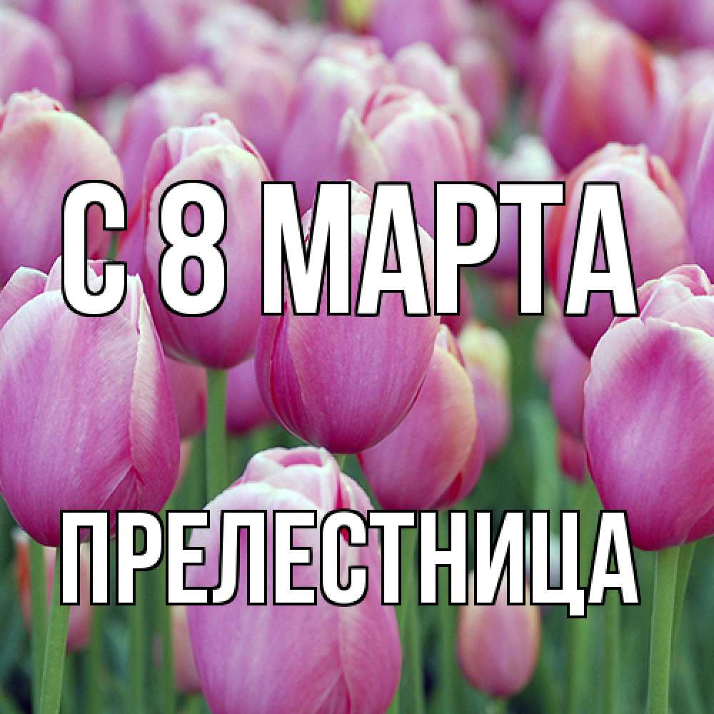 Открытка на каждый день с именем, пpелестница C 8 МАРТА на международный женский день 3 Прикольная открытка с пожеланием онлайн скачать бесплатно 