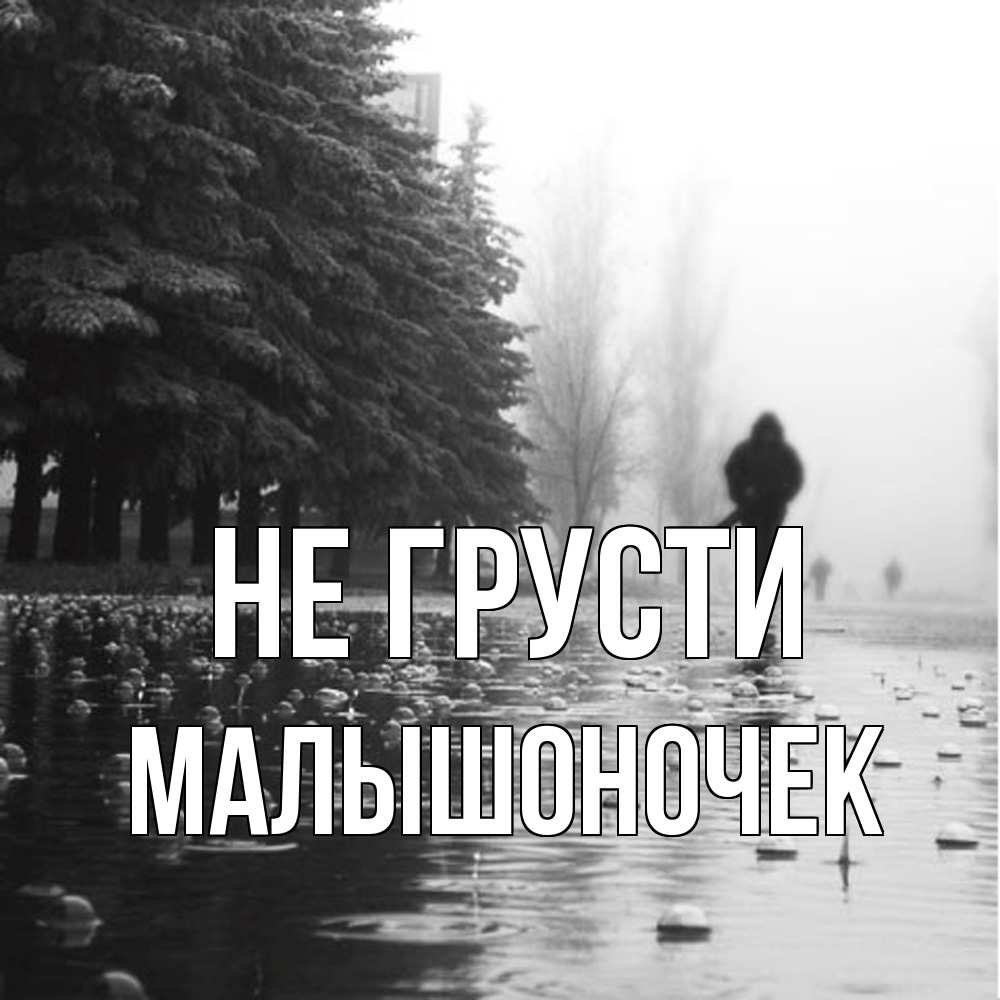 Открытка на каждый день с именем, Малышоночек Не грусти улица под дождем Прикольная открытка с пожеланием онлайн скачать бесплатно 