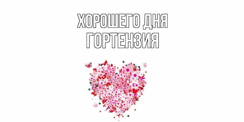 Картинка Хорошего дня, Гортензия