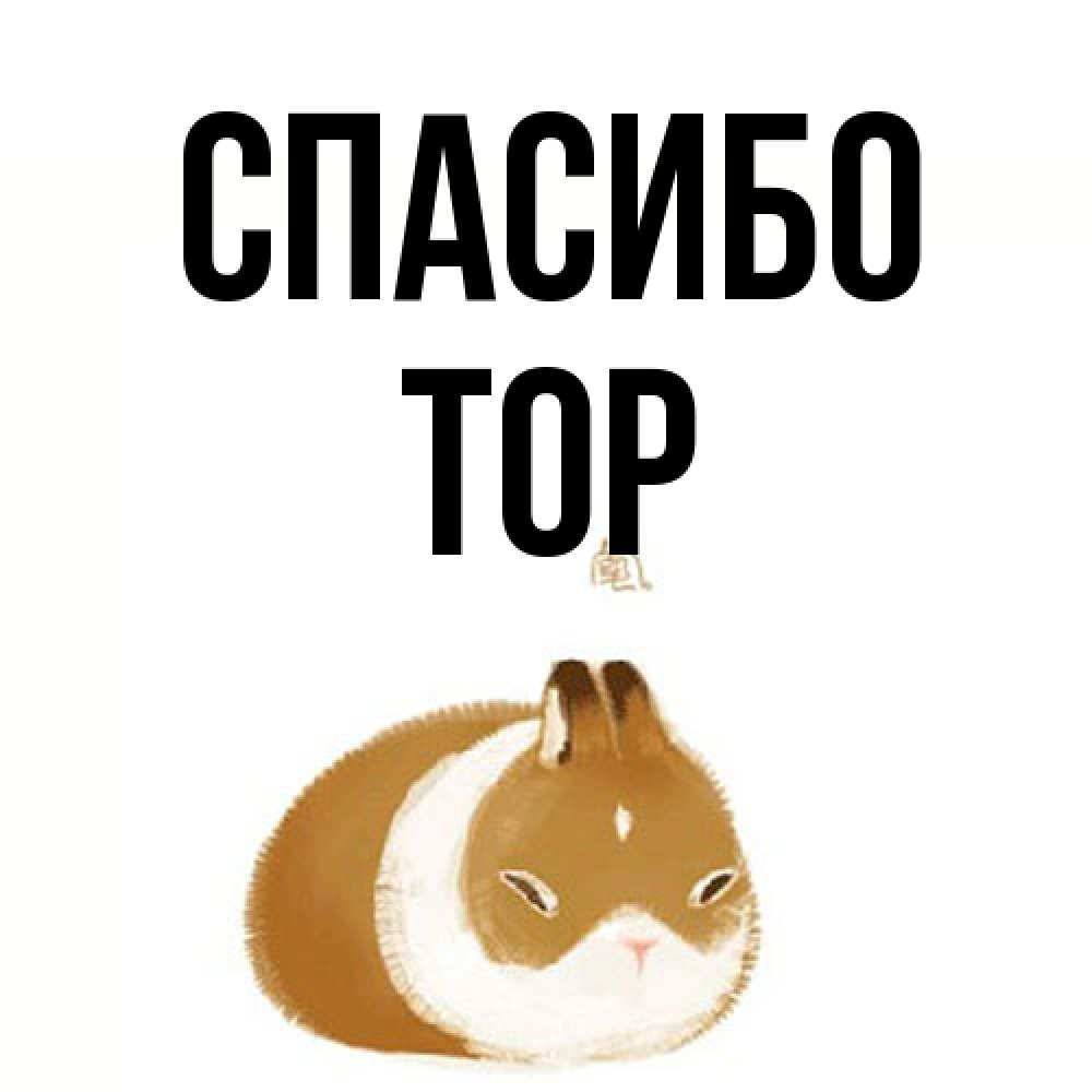 Открытка на каждый день с именем, Тор Спасибо коричнево белый домашний питомец Прикольная открытка с пожеланием онлайн скачать бесплатно 