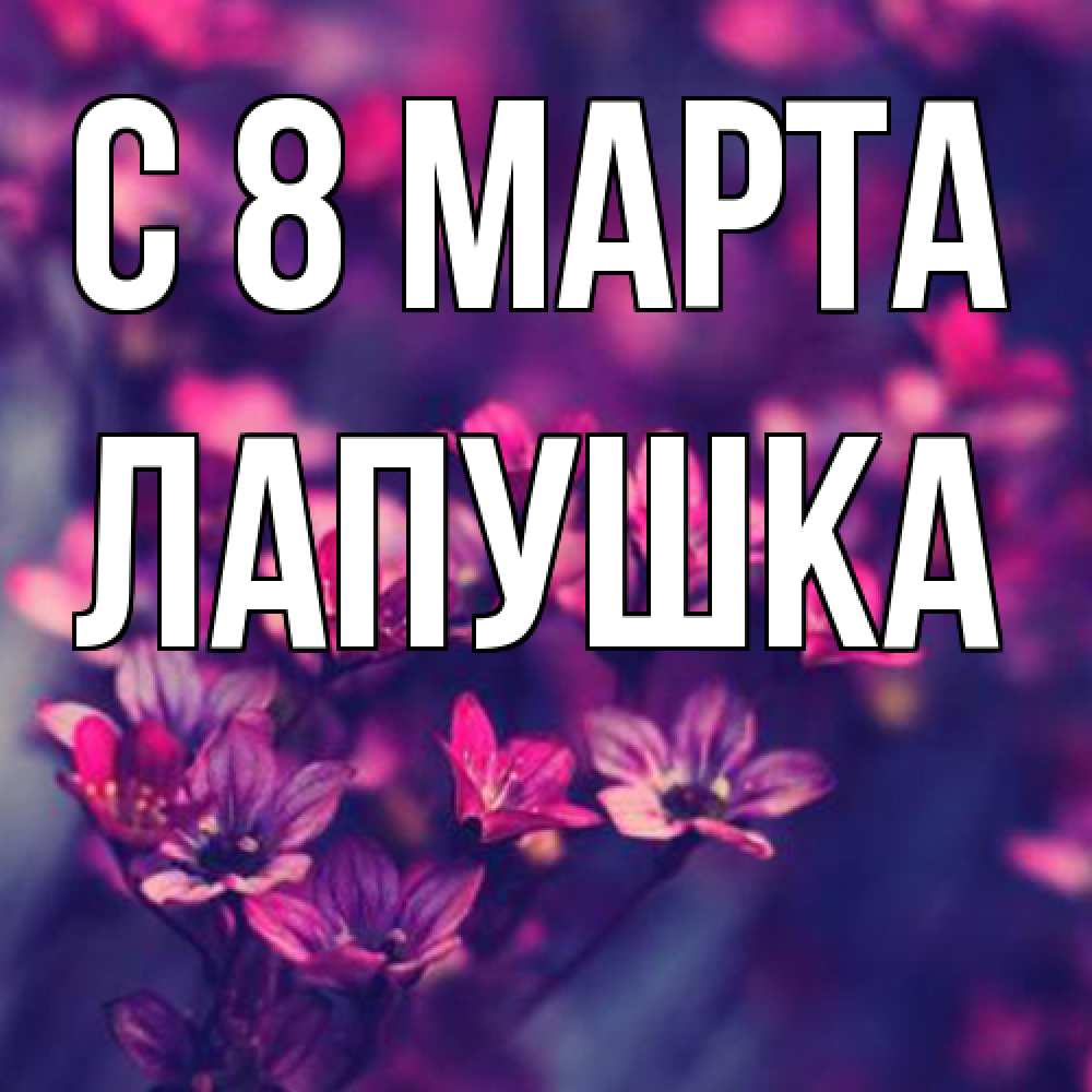 Открытка на каждый день с именем, лапушка C 8 МАРТА небольшие цветы 1 Прикольная открытка с пожеланием онлайн скачать бесплатно 