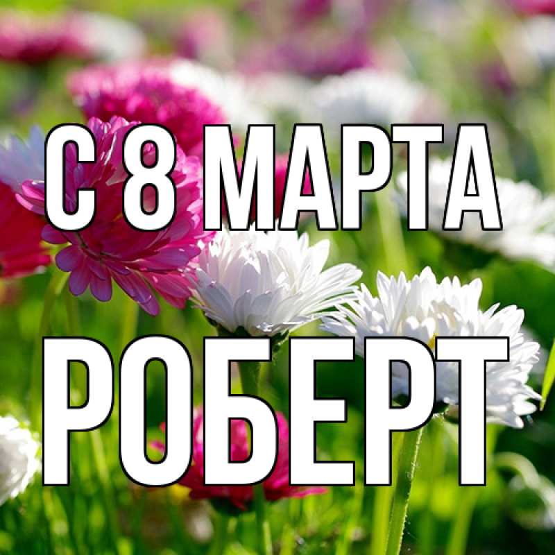 Картинка C 8 МАРТА, Роберт