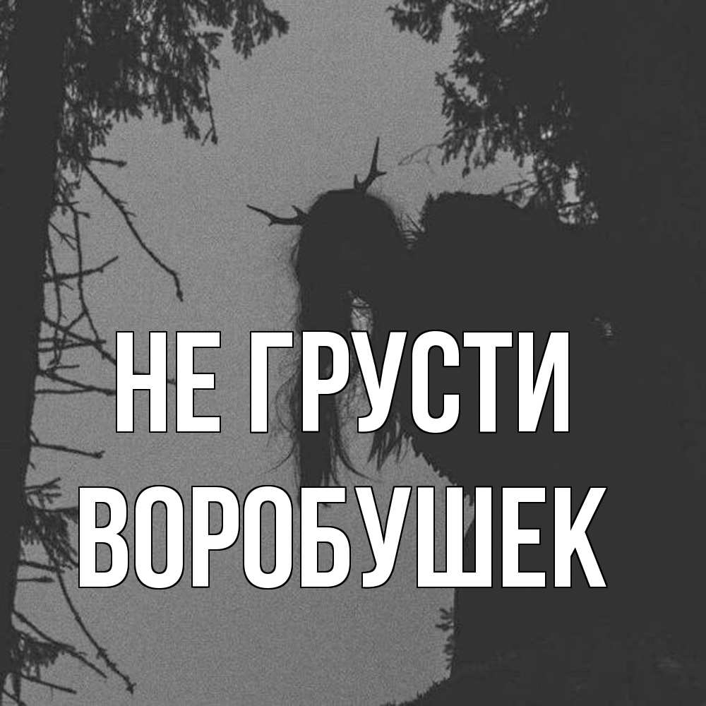 Открытка на каждый день с именем, Воробушек Не грусти чудище лесное Прикольная открытка с пожеланием онлайн скачать бесплатно 