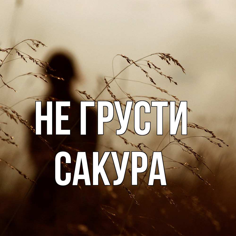 Открытка на каждый день с именем, Сакура Не грусти грусть Прикольная открытка с пожеланием онлайн скачать бесплатно 