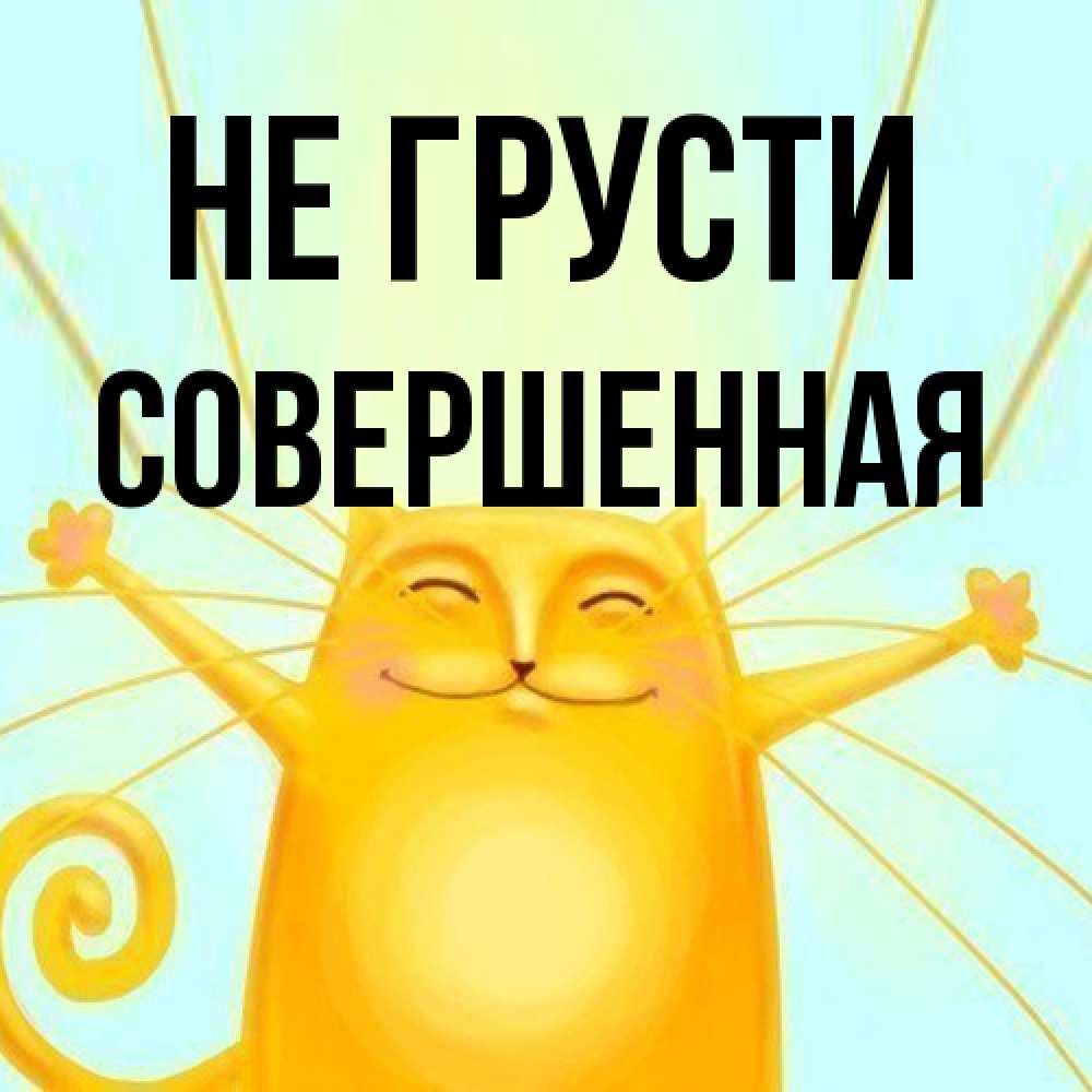 Открытка на каждый день с именем, Совершенная Не грусти обнимашки усатые Прикольная открытка с пожеланием онлайн скачать бесплатно 