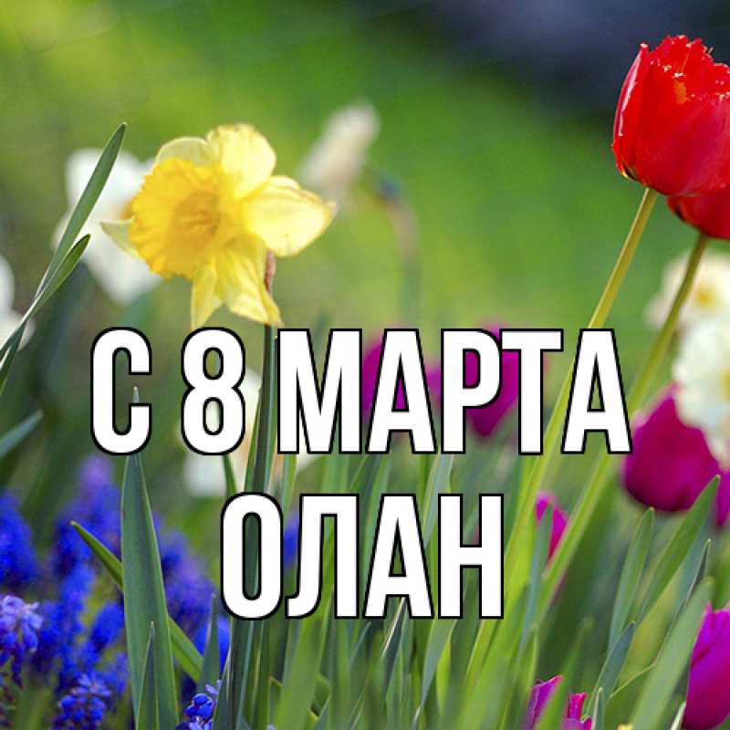 Картинка C 8 МАРТА, Олан