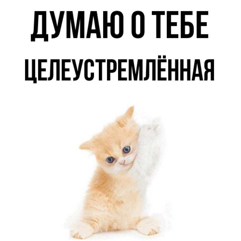 Картинка Думаю о тебе, Целеустремлённая