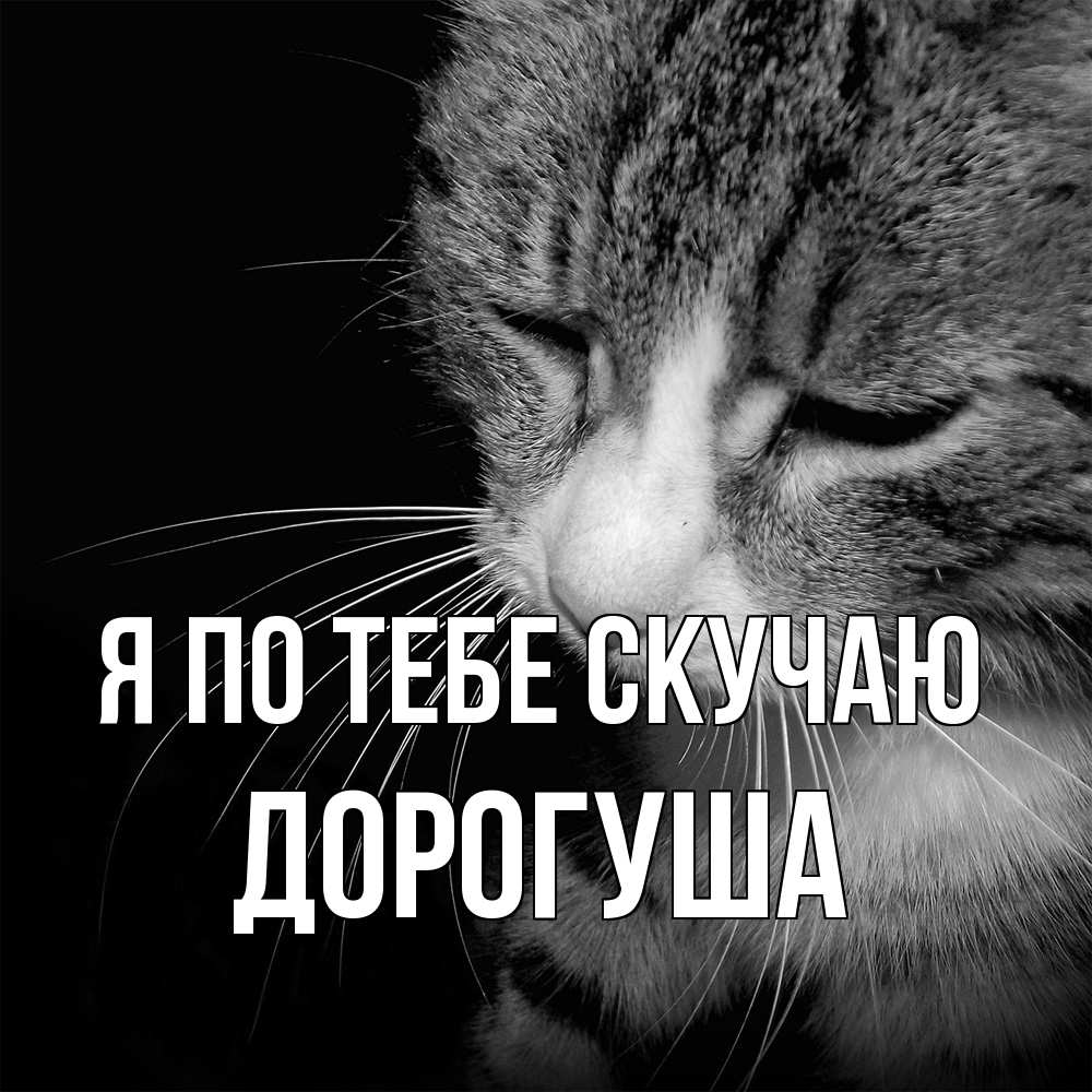 Открытка на каждый день с именем, дорогуша Я по тебе скучаю мне скучно Прикольная открытка с пожеланием онлайн скачать бесплатно 