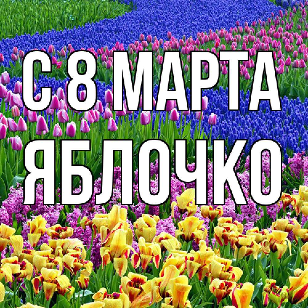 Открытка на каждый день с именем, яблочко C 8 МАРТА цветы Прикольная открытка с пожеланием онлайн скачать бесплатно 