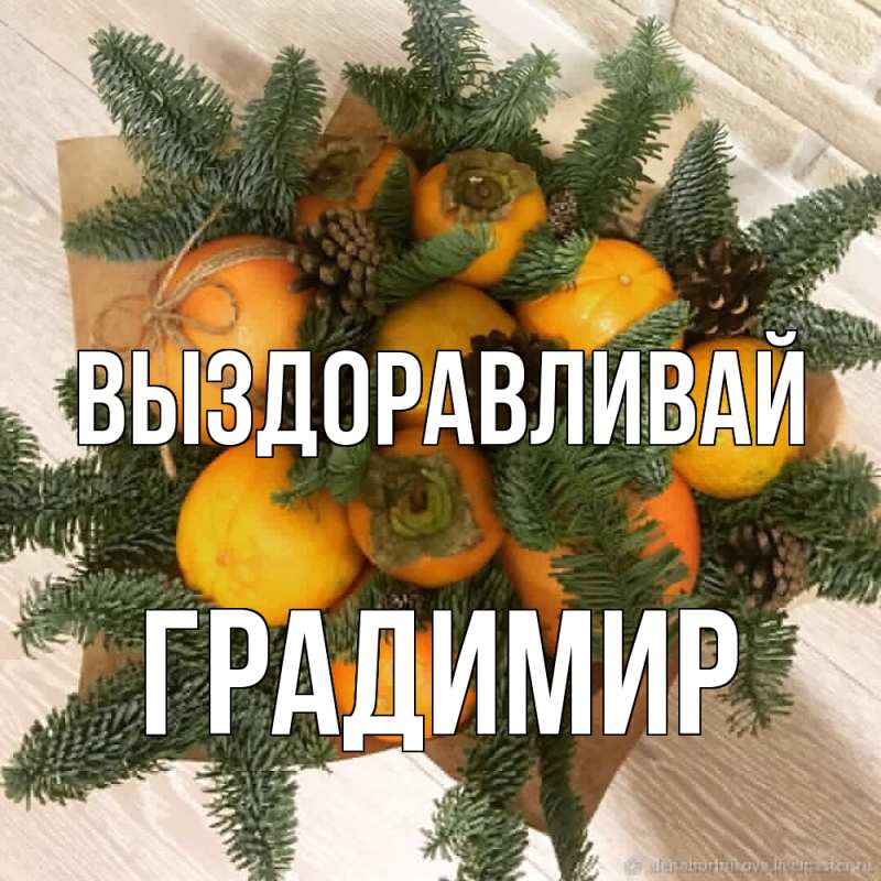 Картинка Выздоравливай, Градимир