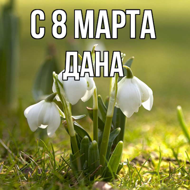 Картинка C 8 МАРТА, Дана