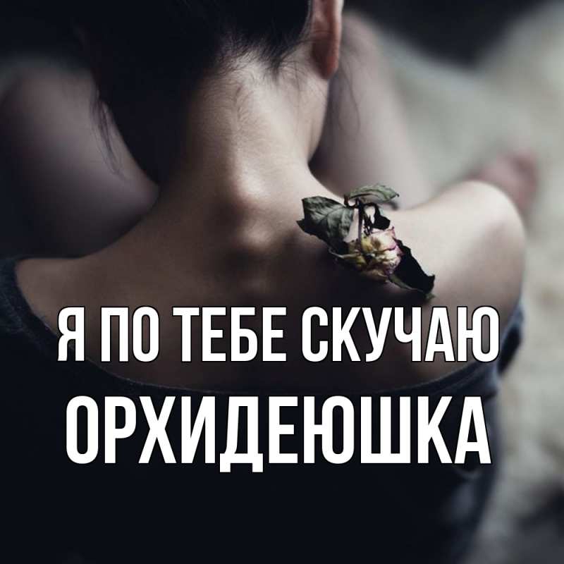 Картинка Я по тебе скучаю, Орхидеюшка