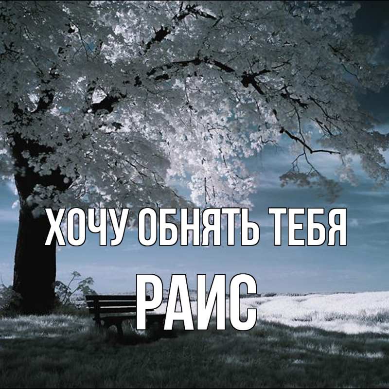 Картинка Хочу обнять тебя, Раис