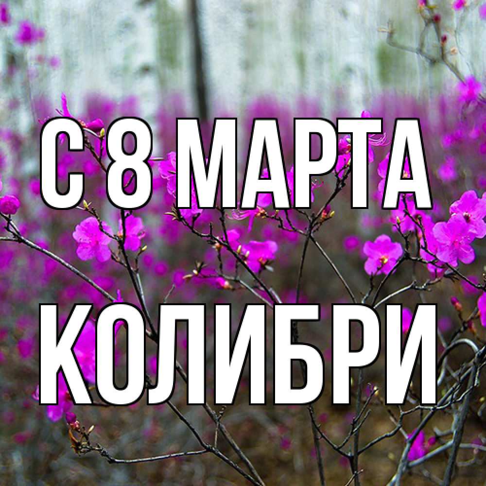 Открытка на каждый день с именем, Колибри C 8 МАРТА дикие цветы Прикольная открытка с пожеланием онлайн скачать бесплатно 