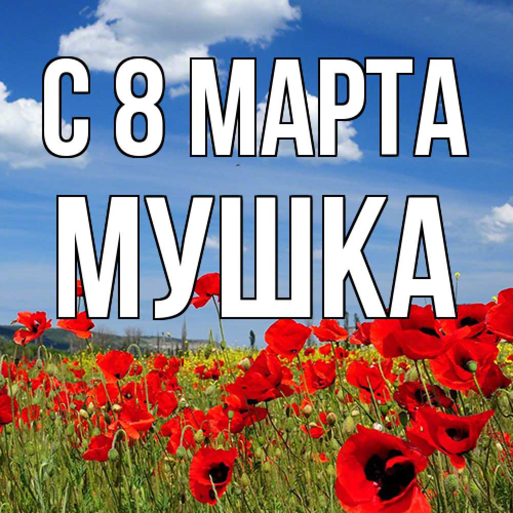 Открытка на каждый день с именем, мушка C 8 МАРТА международный женский день 1 Прикольная открытка с пожеланием онлайн скачать бесплатно 