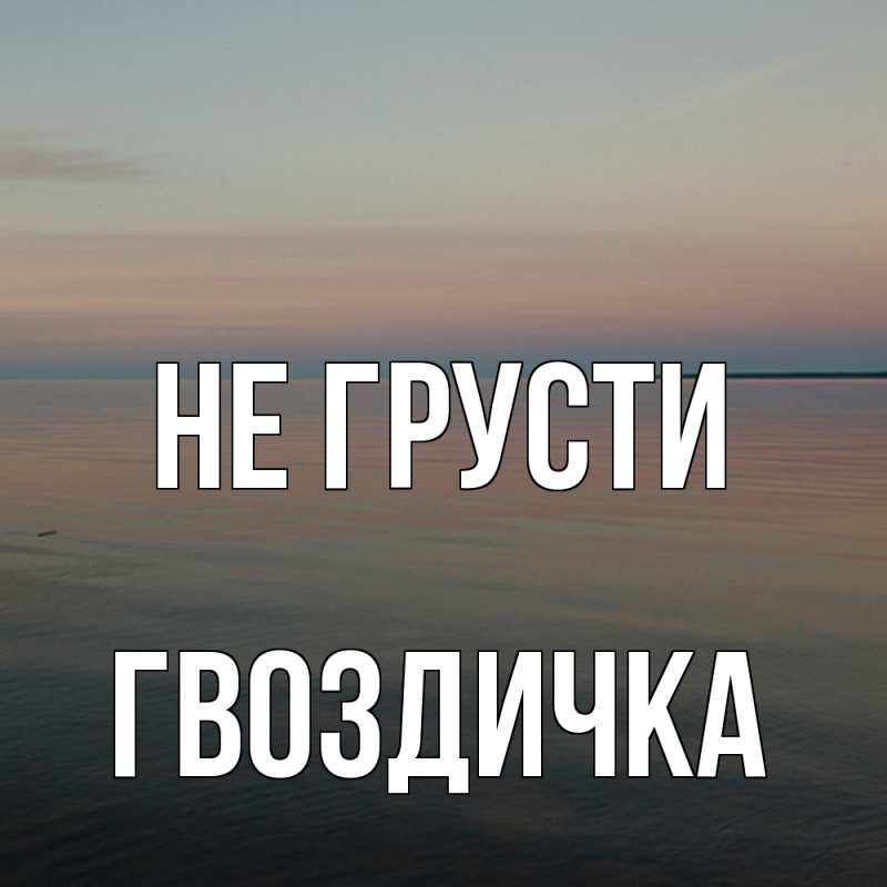 Картинка Не грусти, Гвоздичка