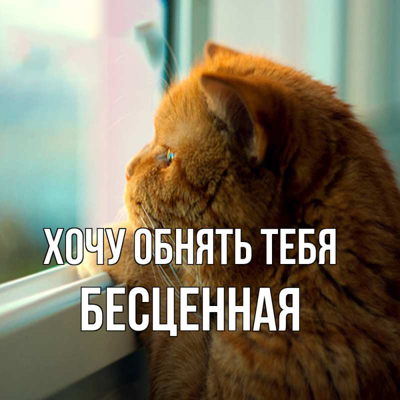 Картинка Хочу обнять тебя, Бесценная