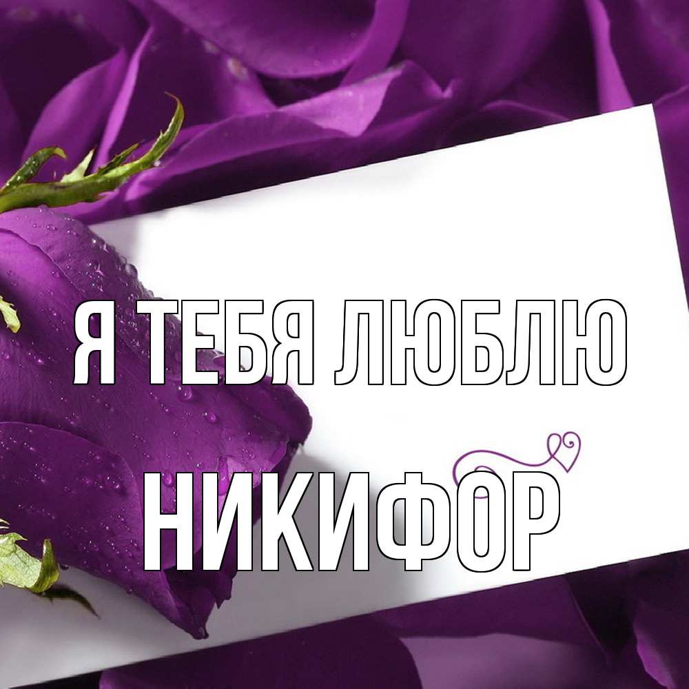 Открытка на каждый день с именем, Никифор Я тебя люблю роза Прикольная открытка с пожеланием онлайн скачать бесплатно 