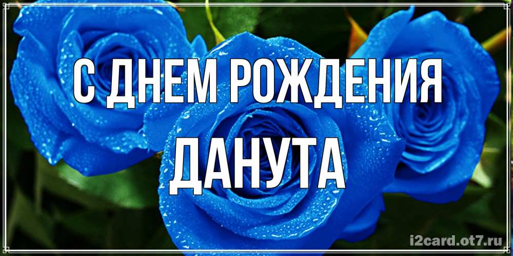 Открытка на каждый день с именем, Данута С днем рождения розы с синим цветом Прикольная открытка с пожеланием онлайн скачать бесплатно 