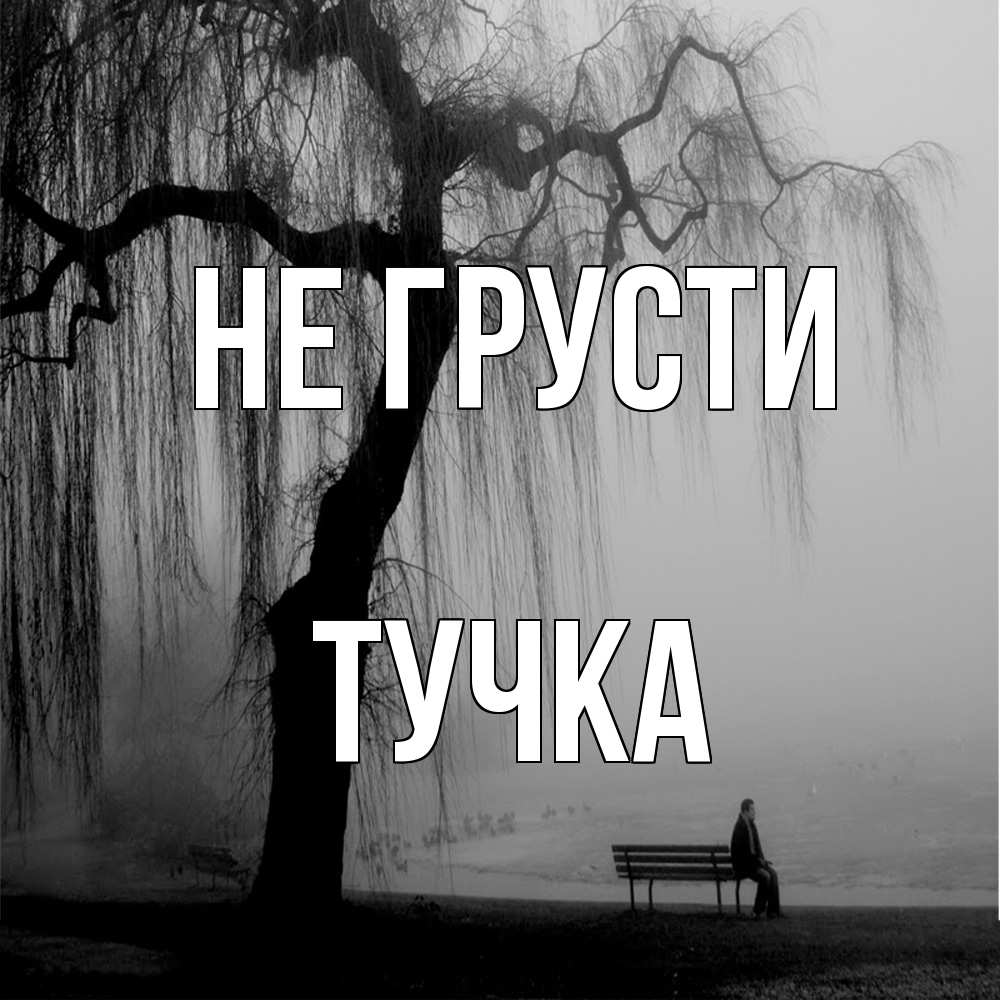 Открытка на каждый день с именем, Тучка Не грусти висящие ветки дерева и лавочка под деревом Прикольная открытка с пожеланием онлайн скачать бесплатно 