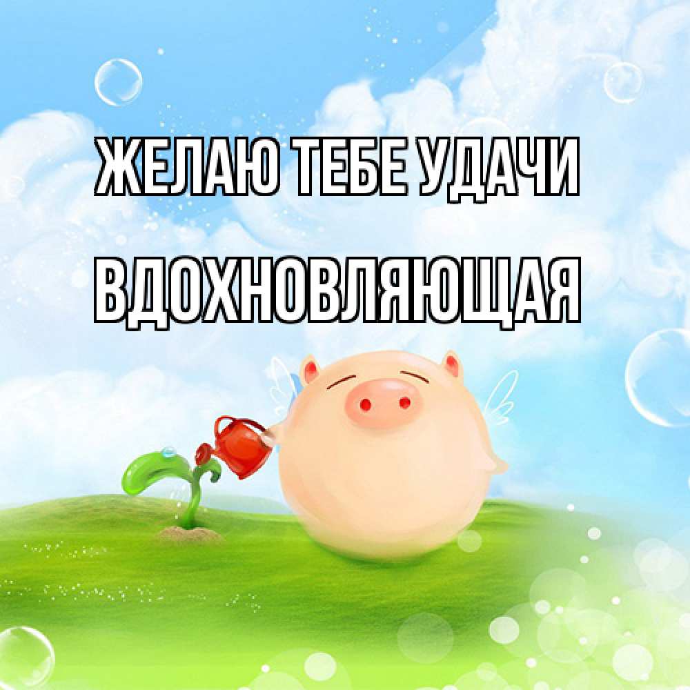 Открытка на каждый день с именем, вдохновляющая Желаю тебе удачи поросенок поливает цветок. летнее настроение Прикольная открытка с пожеланием онлайн скачать бесплатно 