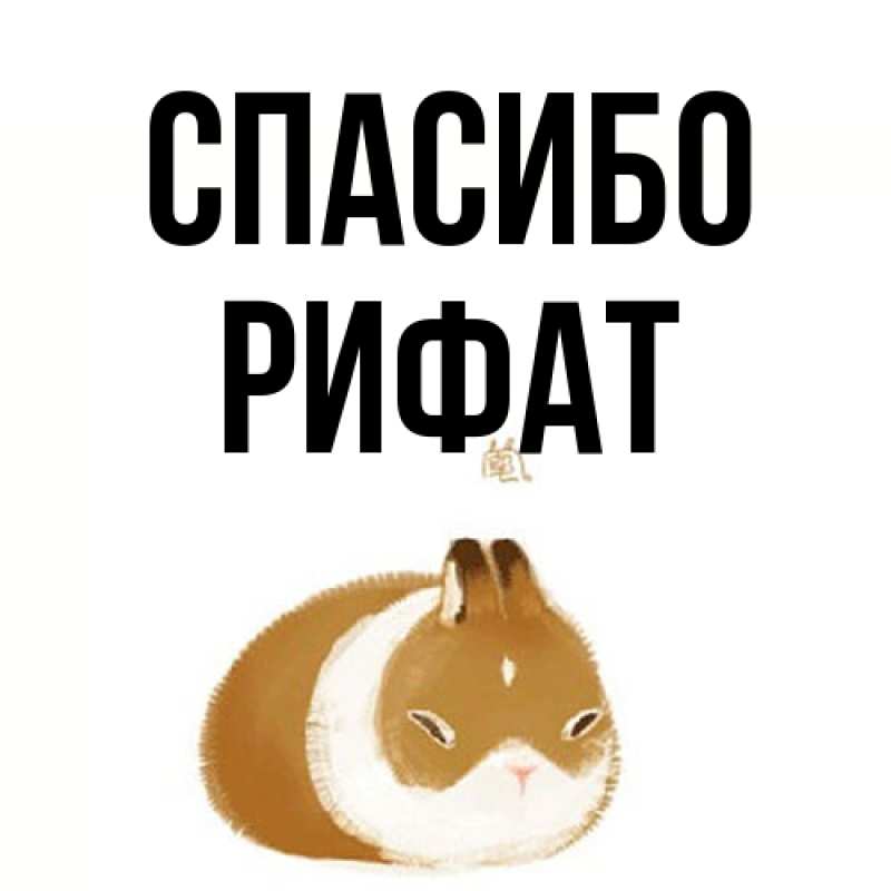 Картинка Спасибо, Рифат