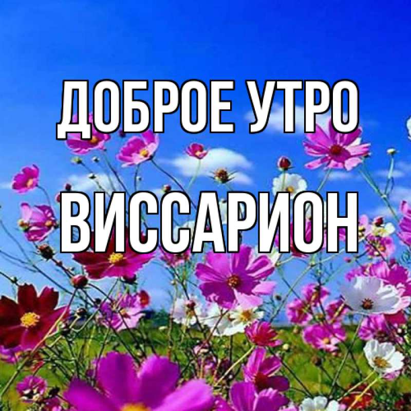 Картинка Доброе утро, Виссарион