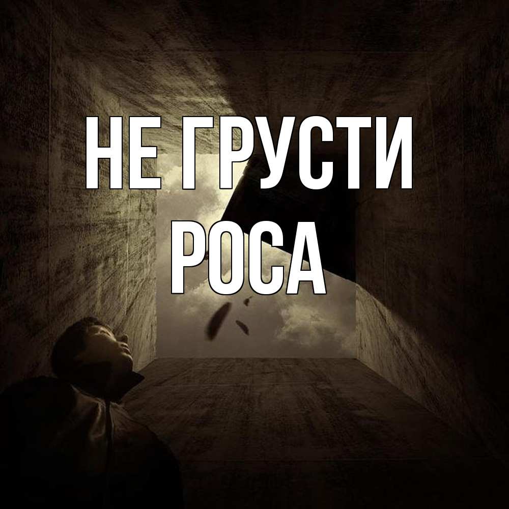 Открытка на каждый день с именем, Роса Не грусти жуть Прикольная открытка с пожеланием онлайн скачать бесплатно 