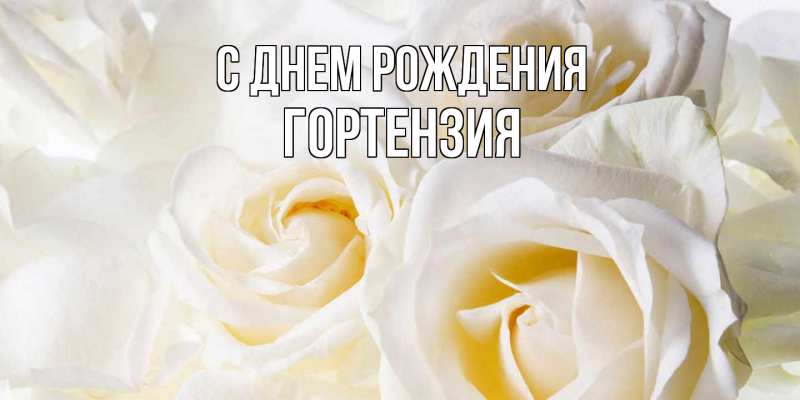 Картинка С днем рождения, Гортензия