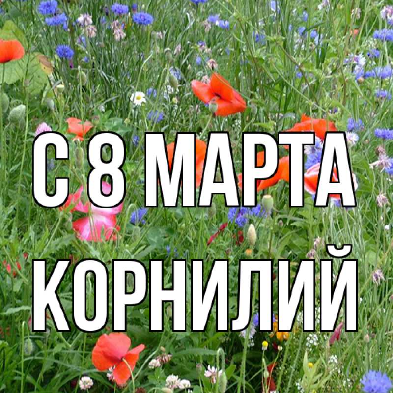 Картинка C 8 МАРТА, Корнилий