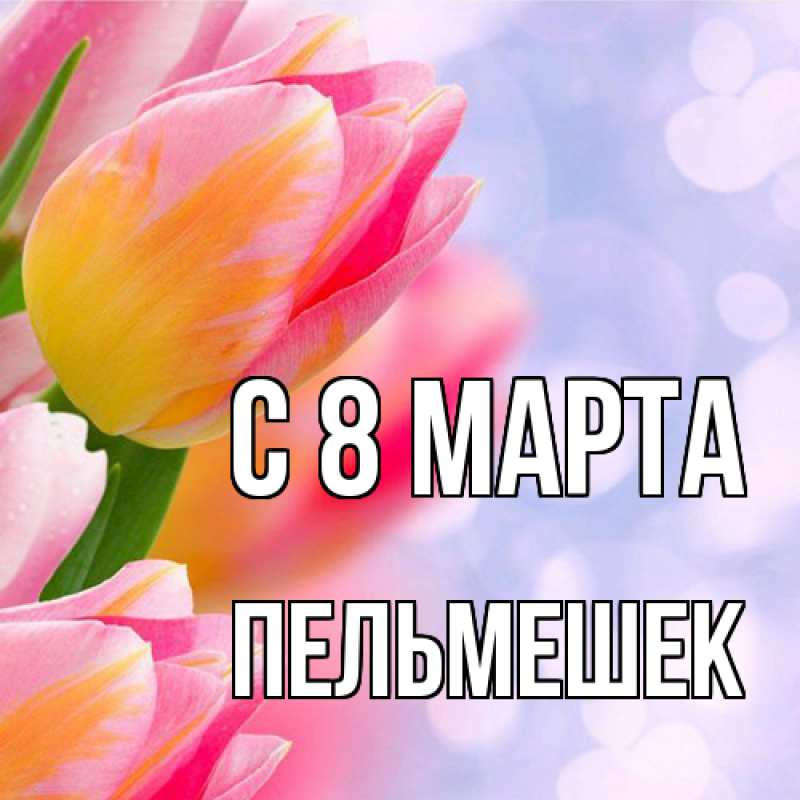 Картинка C 8 МАРТА, пельмешек