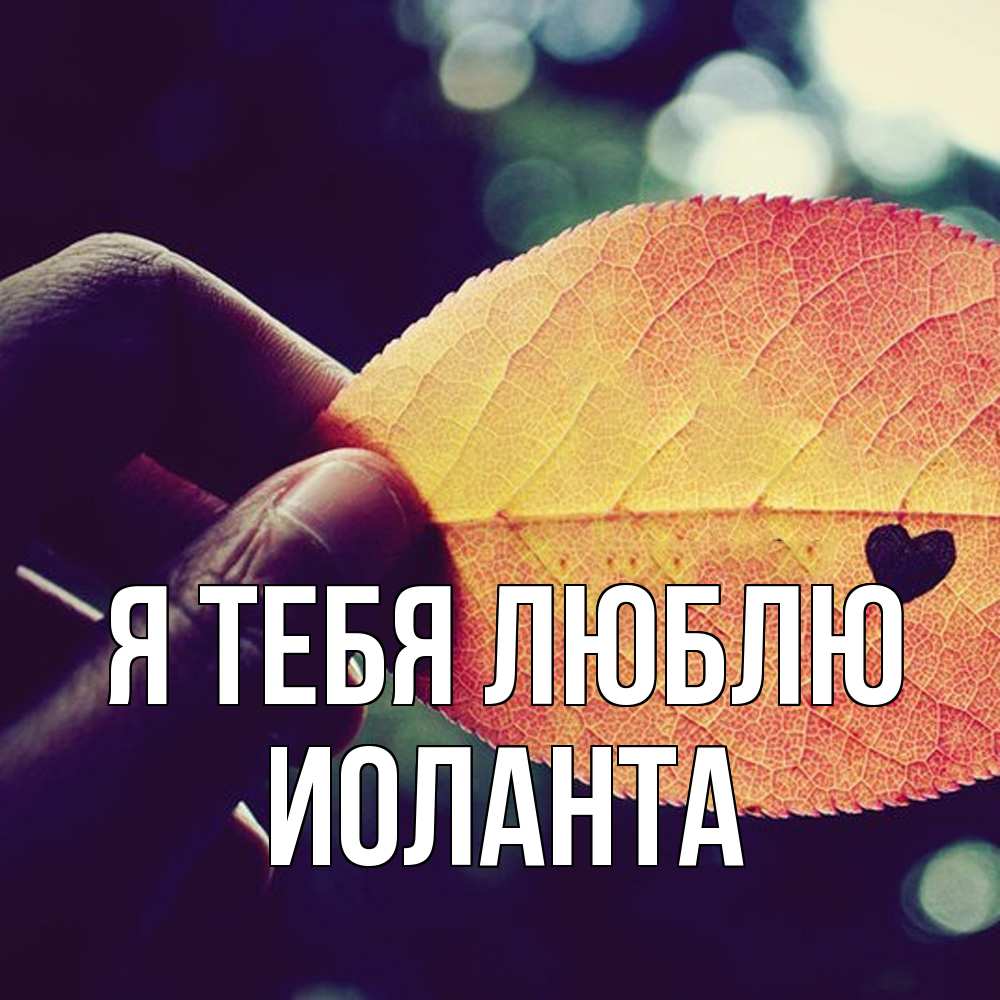 Открытка на каждый день с именем, Иоланта Я тебя люблю держу лист Прикольная открытка с пожеланием онлайн скачать бесплатно 