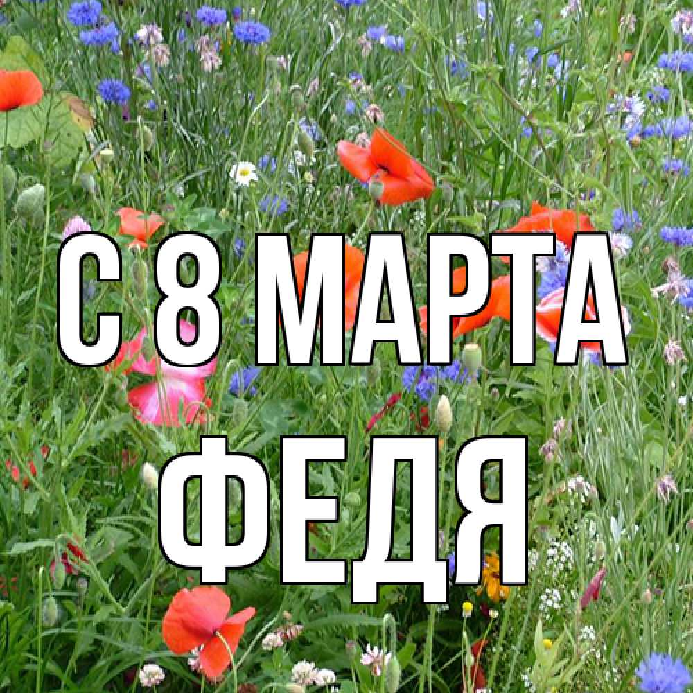 Открытка на каждый день с именем, Федя C 8 МАРТА международный женский день 4 Прикольная открытка с пожеланием онлайн скачать бесплатно 