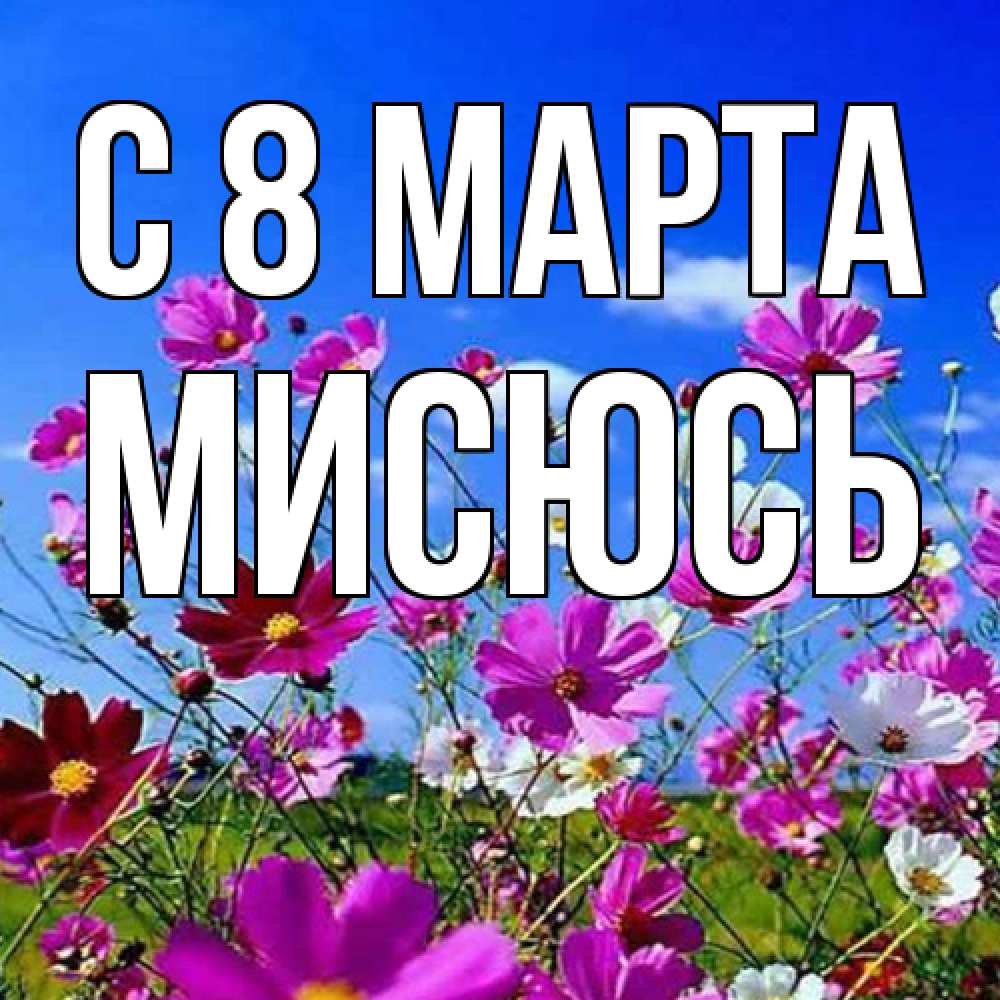 Открытка на каждый день с именем, мисюсь C 8 МАРТА цветы Прикольная открытка с пожеланием онлайн скачать бесплатно 