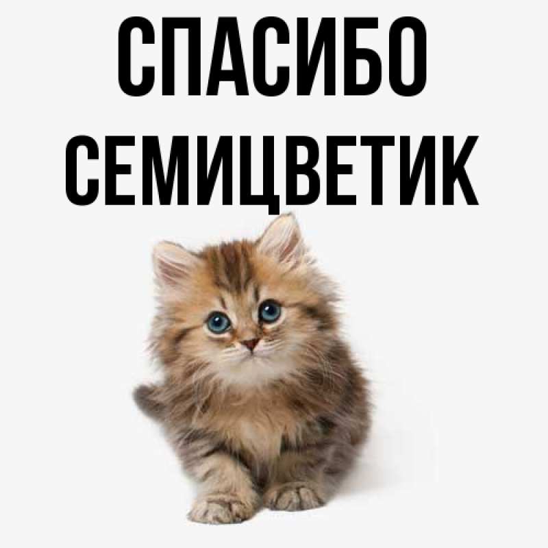 Картинка Спасибо, семицветик