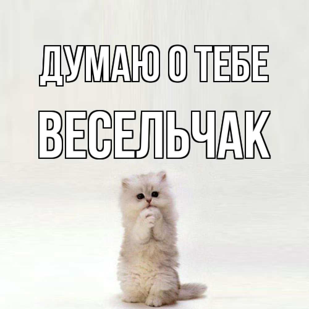 Открытка на каждый день с именем, Весельчак Думаю о тебе кот стоит на задних лапах Прикольная открытка с пожеланием онлайн скачать бесплатно 