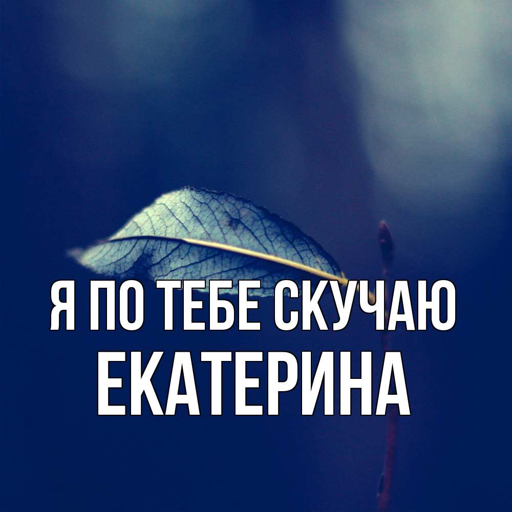 Открытка на каждый день с именем, Екатерина Я по тебе скучаю одна ветка 1 Прикольная открытка с пожеланием онлайн скачать бесплатно 