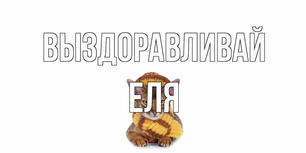 Открытка на каждый день с именем, Еля Выздоравливай родные не болейте Прикольная открытка с пожеланием онлайн скачать бесплатно 