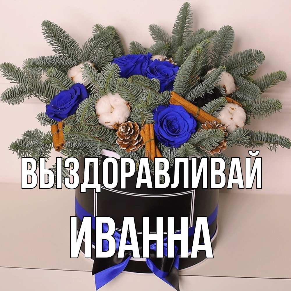 Открытка на каждый день с именем, Иванна Выздоравливай короче кто то загрузил эти шишки Прикольная открытка с пожеланием онлайн скачать бесплатно 