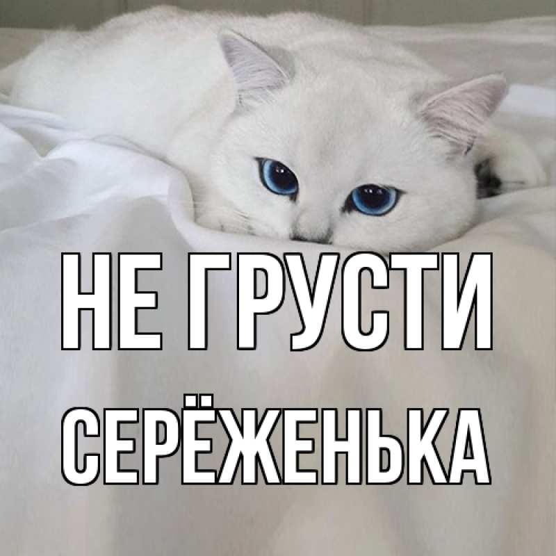 Картинка Не грусти, Серёженька