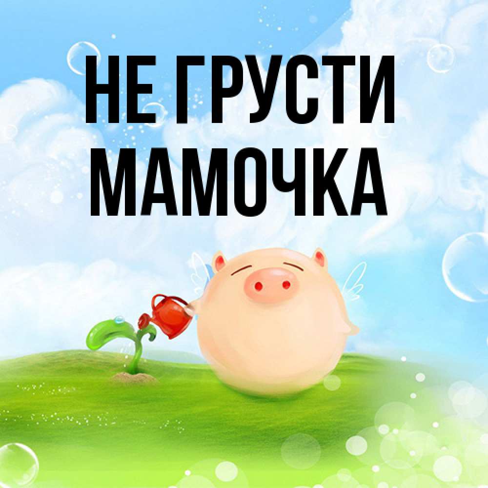 Открытка на каждый день с именем, Мамочка Не грусти поливает цветок порося Прикольная открытка с пожеланием онлайн скачать бесплатно 