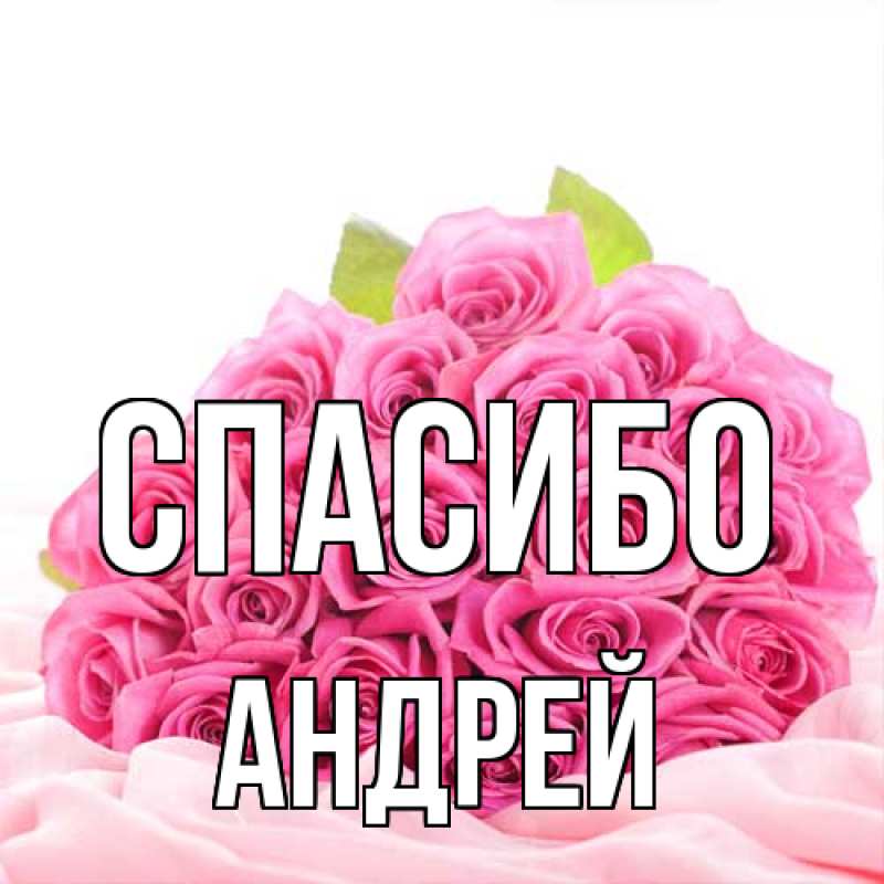 Картинка Спасибо, Андрей