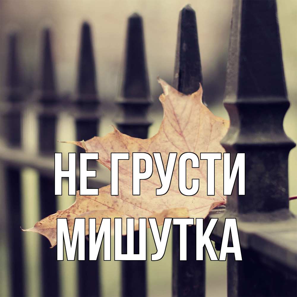 Открытка на каждый день с именем, Мишутка Не грусти лист клена Прикольная открытка с пожеланием онлайн скачать бесплатно 