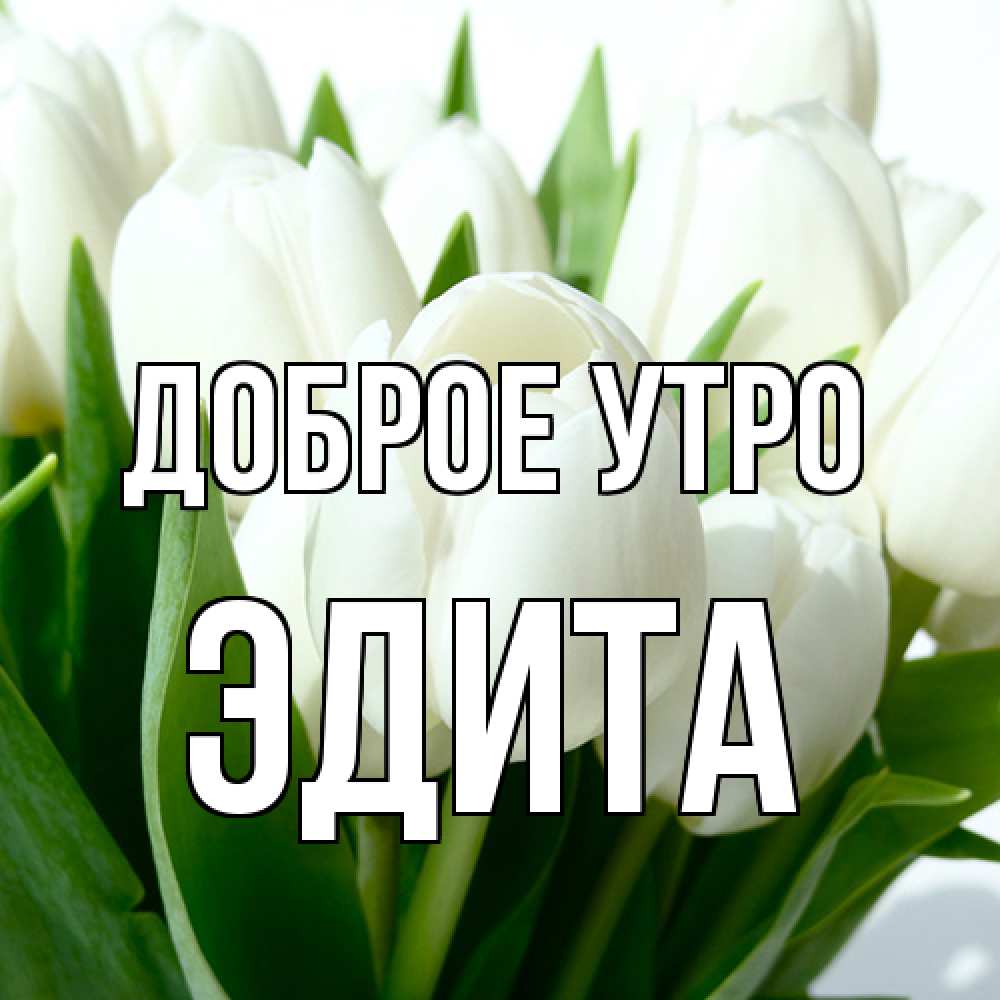 Открытка на каждый день с именем, Эдита Доброе утро открытки на каждый день по именам Прикольная открытка с пожеланием онлайн скачать бесплатно 
