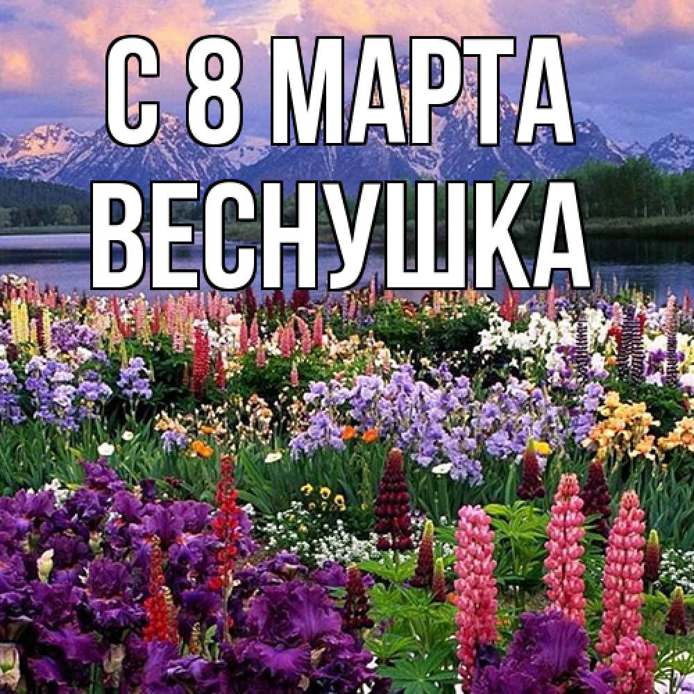 Открытка на каждый день с именем, веснушка C 8 МАРТА международный женский день Прикольная открытка с пожеланием онлайн скачать бесплатно 