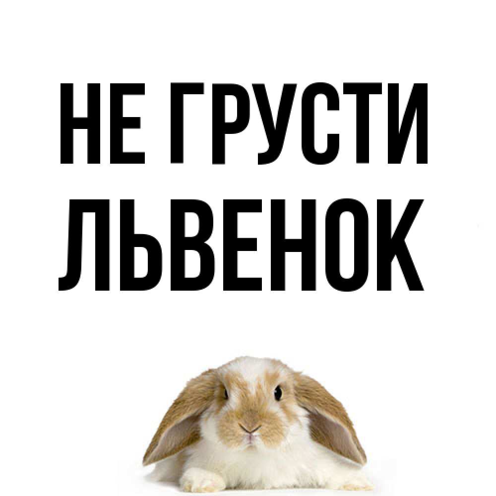 Открытка на каждый день с именем, Львенок Не грусти коричнево белый заяц с большими ушками Прикольная открытка с пожеланием онлайн скачать бесплатно 
