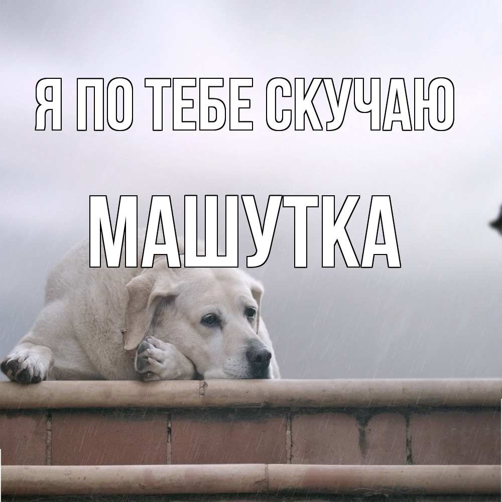 Открытка на каждый день с именем, Машутка Я по тебе скучаю ждет Прикольная открытка с пожеланием онлайн скачать бесплатно 